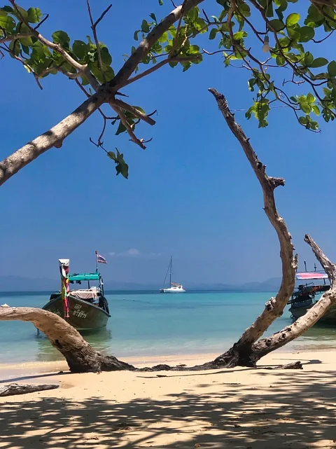  Coral Island (4 hrs) | Moonlight