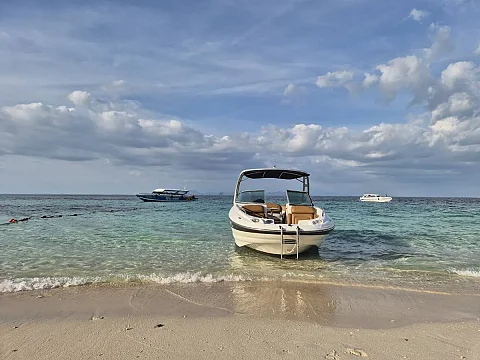  Phi Phi Islands (8hrs) | Clyde