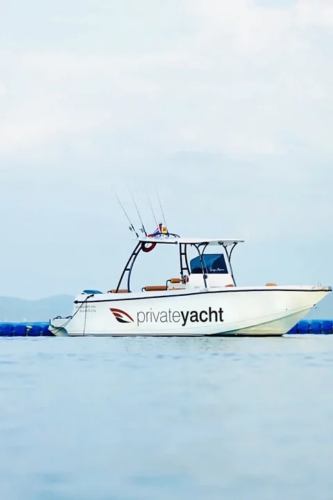  Phi Phi Islands (8h) | FunGun