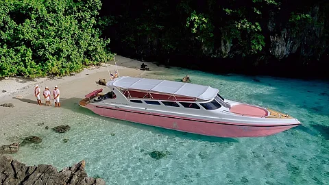  Phi Phi Islands (8h) | Speedboat Pink Dolphin